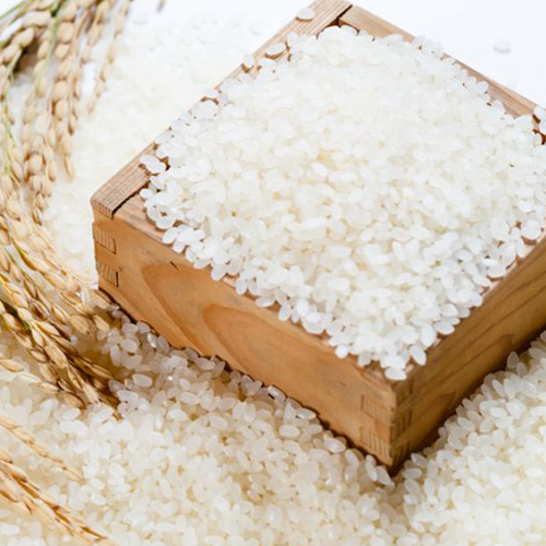 gạo nhật hạt tròn