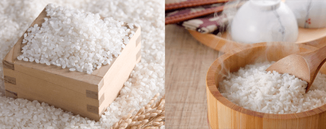 gạo nhật hạt tròn